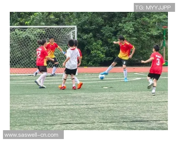 聚焦足球：深圳足球队的灵活性话题